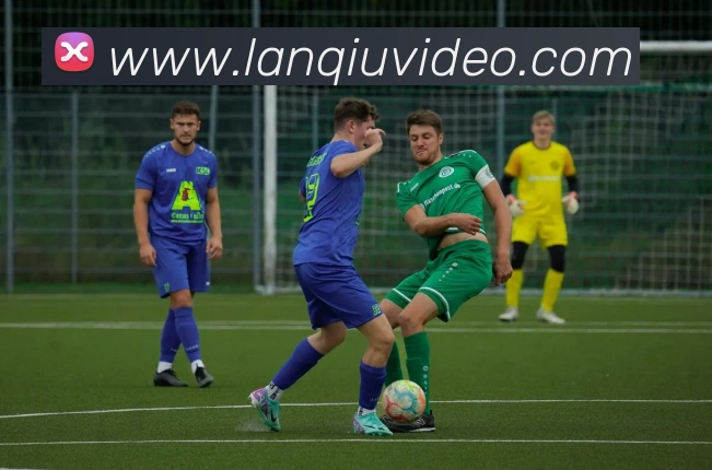 篮球直播平台生态图